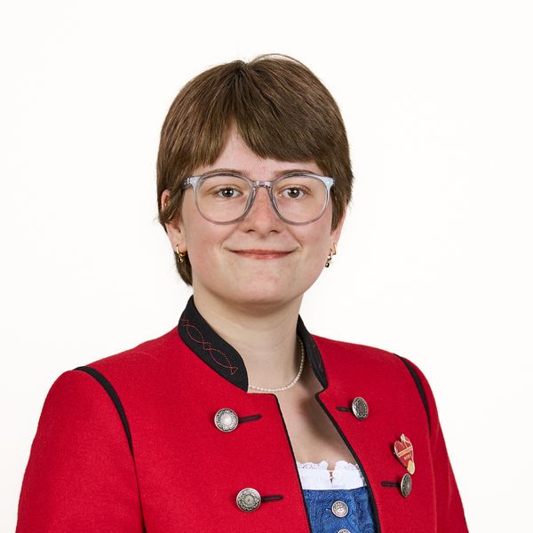 Musiker Portrait