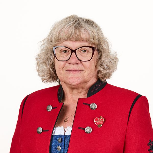 Musiker Portrait